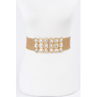 Multi Stone Metallic Straw Stretch Belt