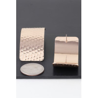 Indented Curved Plate Earrings