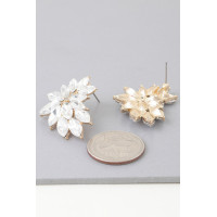 Shiny Leaves Earrings
