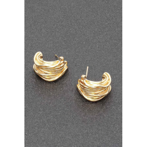 Gold Plated Alloy Earring - CC-WH2001526