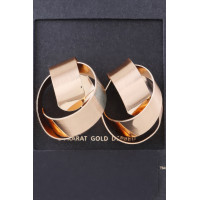 Delicate Shiny Curved Earrings