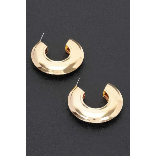 Metal Hoop Earring - CC-WH2002112