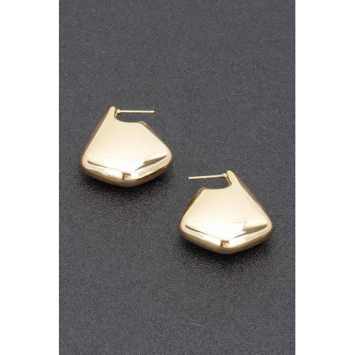 Gold Plated Metal Earring - CC-WH2002323