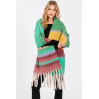 Brushed Multi Color Stripe Scarf