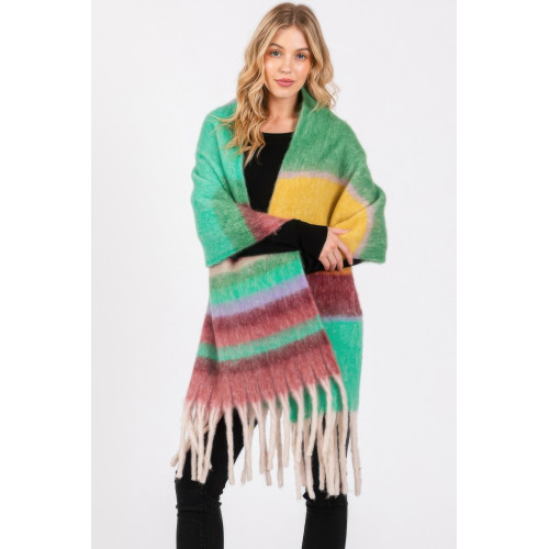 Brushed Multi Color Stripe Scarf - CC-WH2002358