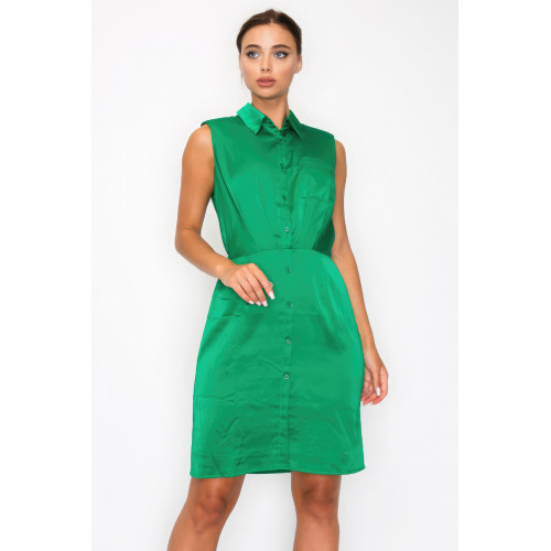 Button-down Pleated Shirt Dress