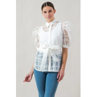 A See-thru Mini Length Organza Top