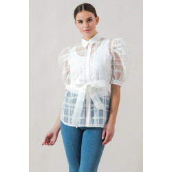 A See-thru Mini Length Organza Top
