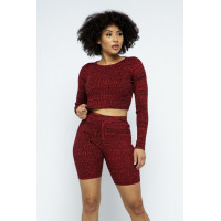 Knit Long Sleeve Cropped Top Knit High-waist Biker Shorts Set