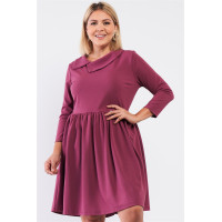 Plus Pleated Preppy Fit & Flare Long Sleeve Asymmetrical Peter Pan Collar Mini Dress