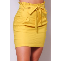High Waisted Pleated & Belted Mini Skirt