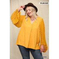 Woven And Textured Chiffon Top With Voluminous Sheer Sleeves