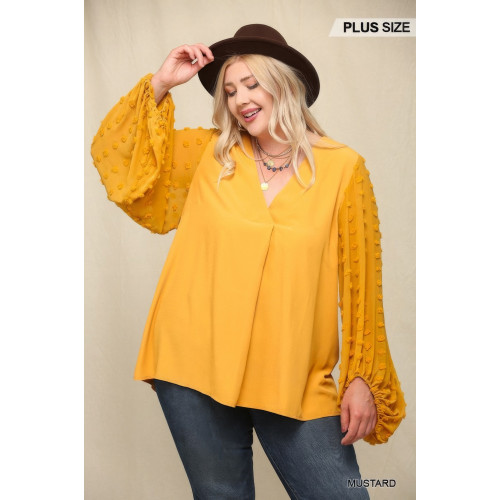 Woven And Textured Chiffon Top With Voluminous Sheer Sleeves
