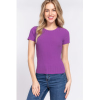 Short Slv Crew Neck Variegated Rib Knit Top
