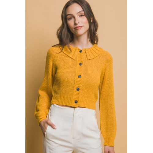Short collard sweater