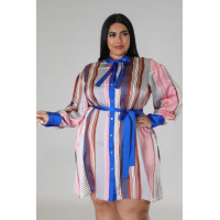 Long Sleeves Non-stretch Dress