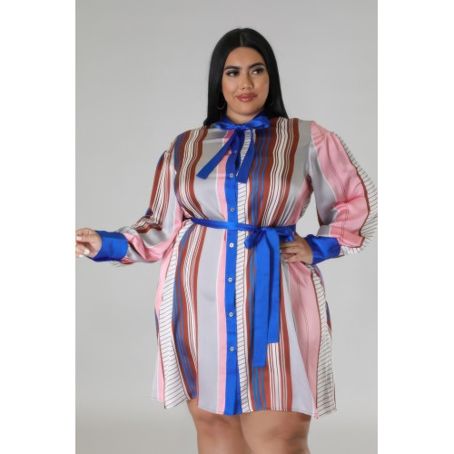 Long Sleeves Non-stretch Dress