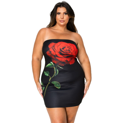Tube Bodycon Mini Dress With Floral Print Front