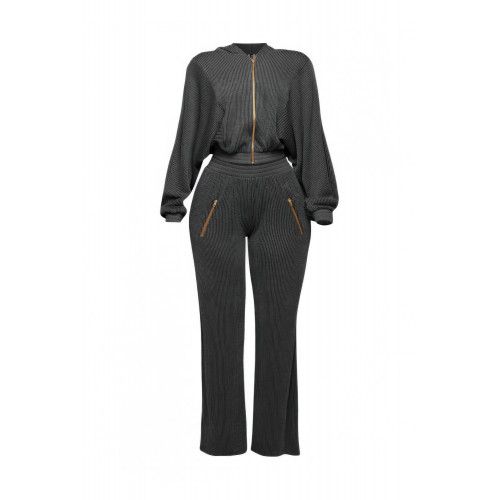 Zipper Closure Hoodie Jacket & Pants Set