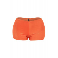 Shimmer High Waisted Shorts