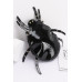 Enamel Spider Novelty Bag Collection - CC-WH2000690