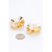 Faux Pearl Alloy Earring - CC-WH2002044