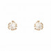 Flower Stud Earring - Designer Style - CC-58586