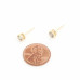14k Gold Dipped Cz Round Earring - Designer Style - CC-58917