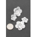 Alloy Earring - CC-WH2001030