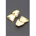 Gold Plated Alloy Earring - CC-WH2001365