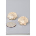 Majestic Clamshell Earrings - Designer Style - CC-WH2000729