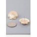 Majestic Clamshell Earrings - Designer Style - CC-WH2000729