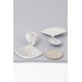Shiny Ribbed Clam Shell Earrings - Designer Style - CC-WH2001328