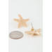 Hammered Starfish Stud Earrings - Designer Style - CC-WH2002035