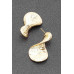 Gold Plated Alloy Earring - CC-WH2001528