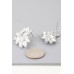 Shiny Leaves Earrings - Designer Style - CC-WH2001196