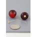 Deep Cherry Stud Earrings - Designer Style - CC-WH2001806