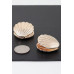 Contemporary Clam Shell Earrings - CC-WH2000862