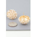 Pearled Sky Dome Stud Earrings - Designer Style - CC-WH2001468