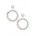 Crystal-studded Dangle Earring - CC-56237