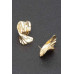 Gold Plated Alloy Earring - CC-WH2001107