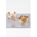 Ripple Plate Hoop Earrings - Designer Style - CC-WH2001251