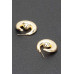 Gold Plated Alloy Earring - CC-WH2001522