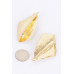 Gold Plated Alloy Earring - CC-WH2000789
