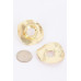 Gold Plated Alloy Earring - CC-WH2000788