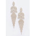 Crystal-studded Fringe Earring - CC-WH2001356
