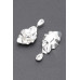 Gold Plated Alloy Earring - CC-WH2001520