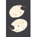 Metal Earring - CC-WH2002108