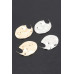 Metal Earring - CC-WH2002108
