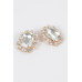 Big Stone Stud Earrings - CC-WH2002250